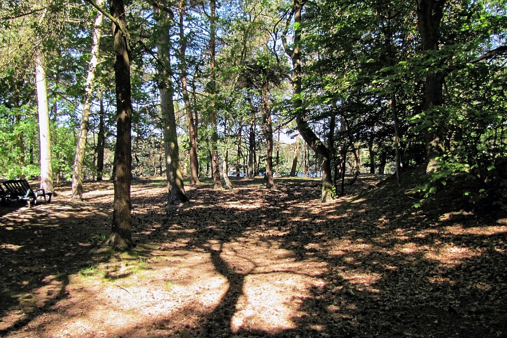 CP0517 (122).jpg